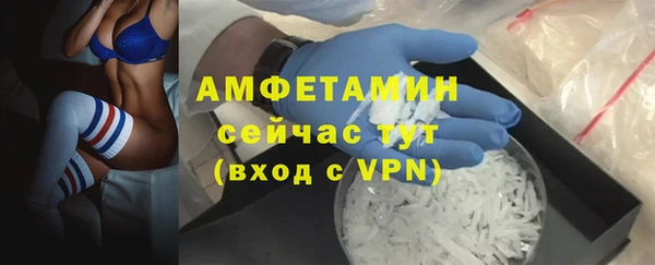 дживик Баксан