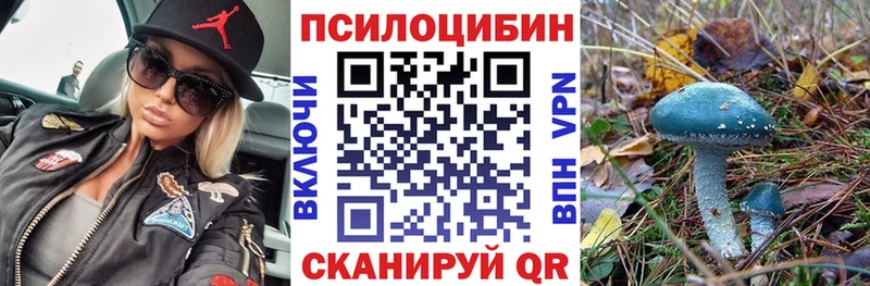 Галлюциногенные грибы Magic Shrooms  kraken сайт  Новотроицк 